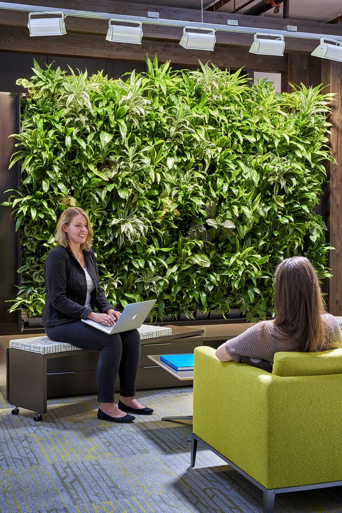 AP+I Design Offices – Mountain View