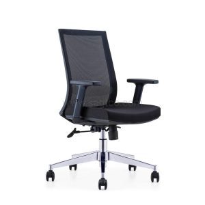 Balanac Medium Back Ergonomic Mesh Chair
